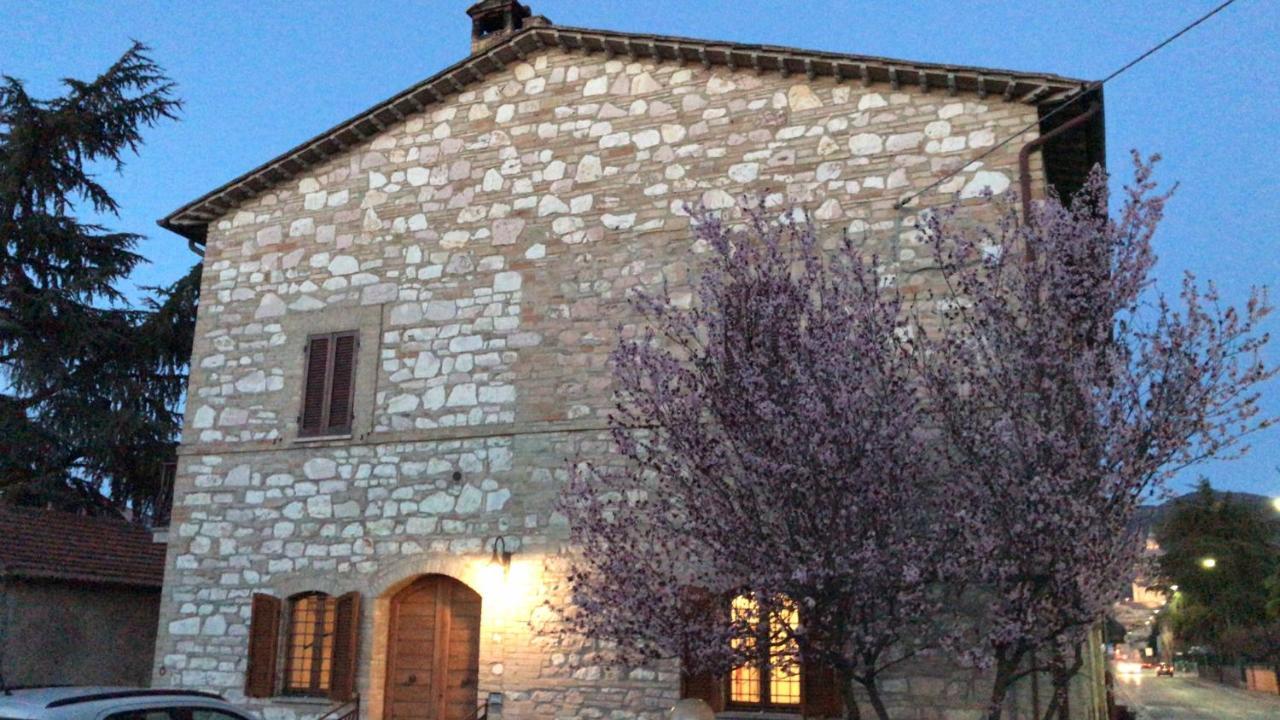Готель La Casa Delle Sirene Ассізі Екстер'єр фото
